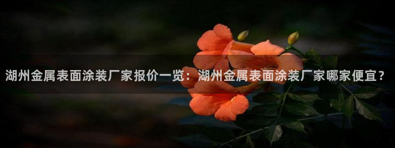 美高梅老板叫什么