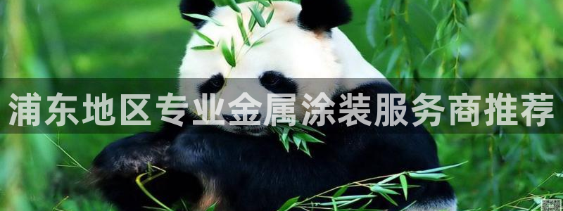 美高梅可以订外卖吗