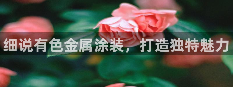 美高梅属于哪个公司