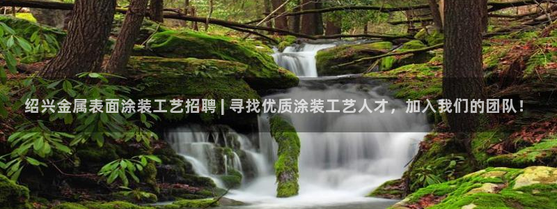 美高梅属于哪个集团