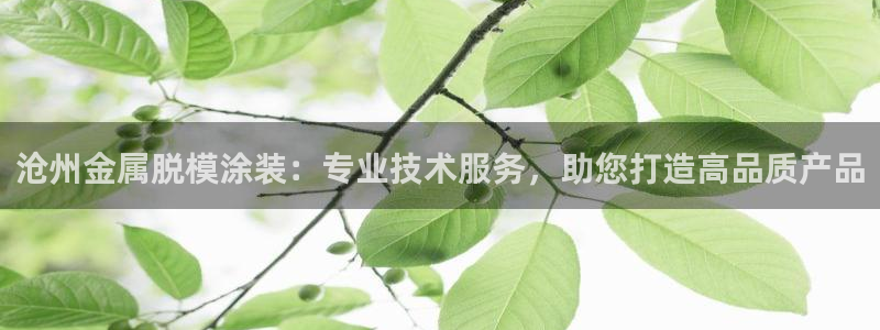 美高梅是哪个集团旗下的