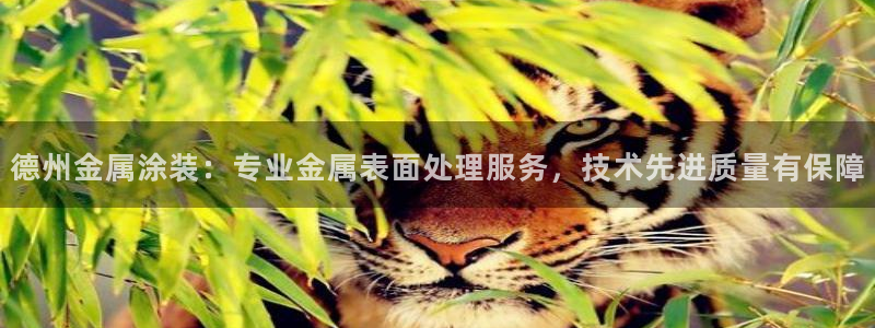 美高梅北京丰台