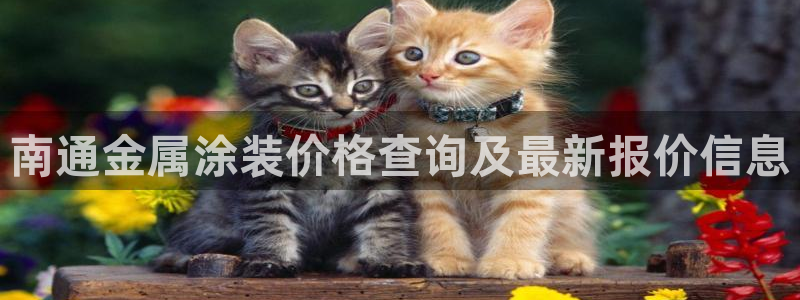 美高梅大酒店自助年卡