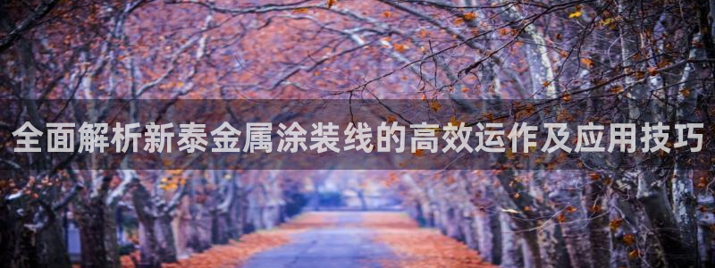 美高梅是哪个集团的品牌