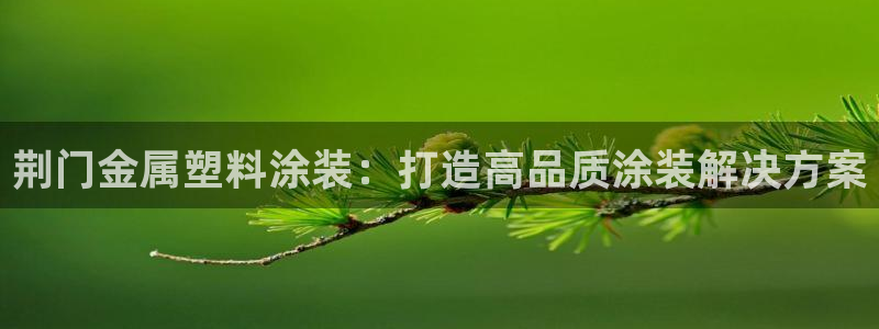 美高梅酒店儿童洗发水