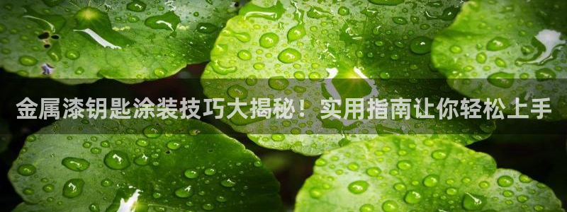 美狮美高梅酒店离哪个口岸近
