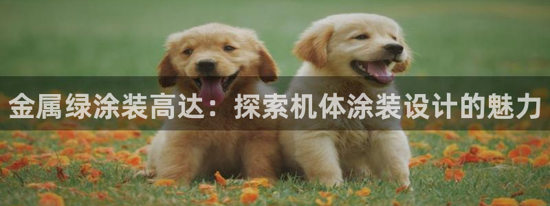 美高梅软件开发创始人