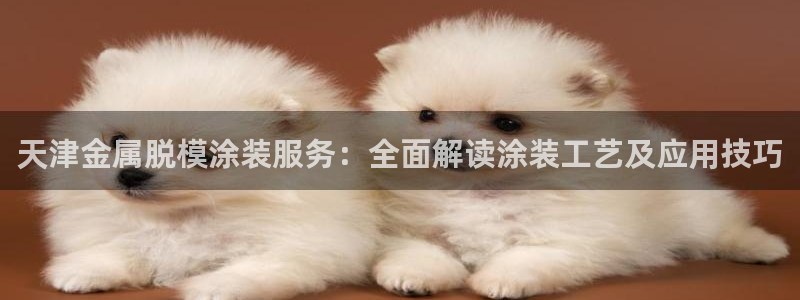 美高梅现金网