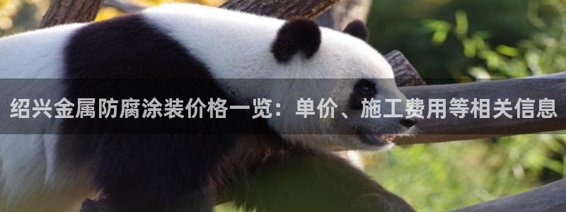 美高梅中国区总裁