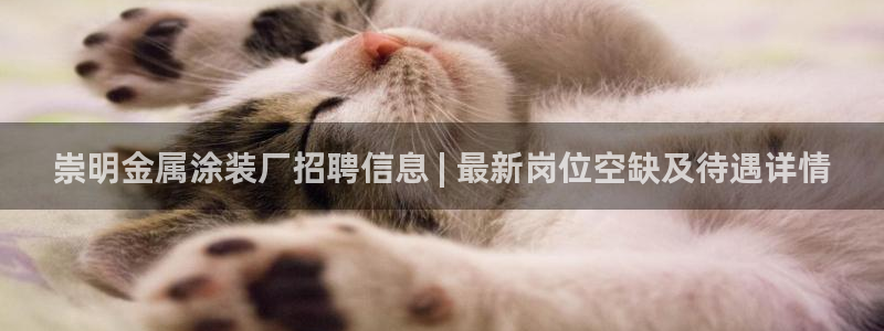 美高梅客户服务中心地址