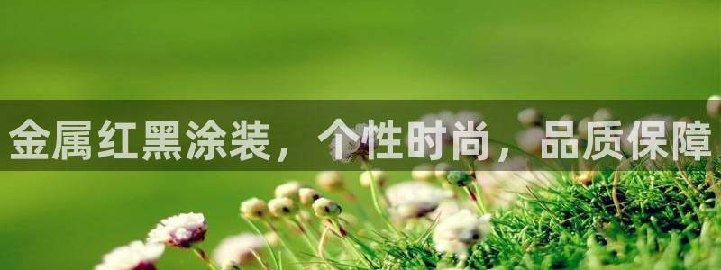 美高梅酒店集团是哪个国家的