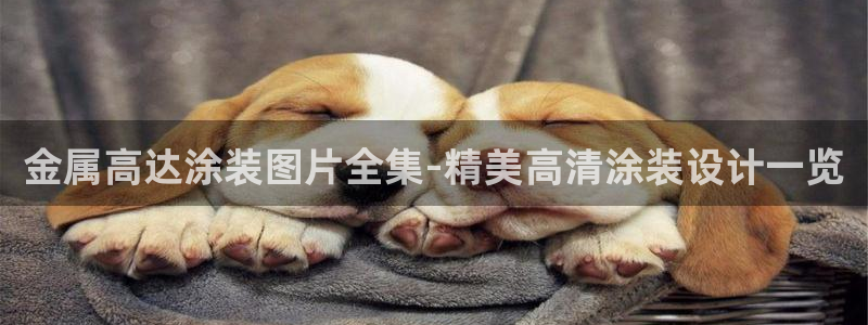 美高梅线上客服