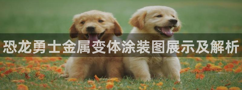 美高梅图片手机屏保