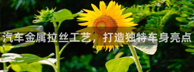 美狮美高梅酒店美艺客房