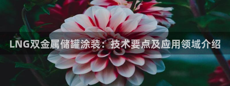 鲁能钓鱼台美高梅别墅