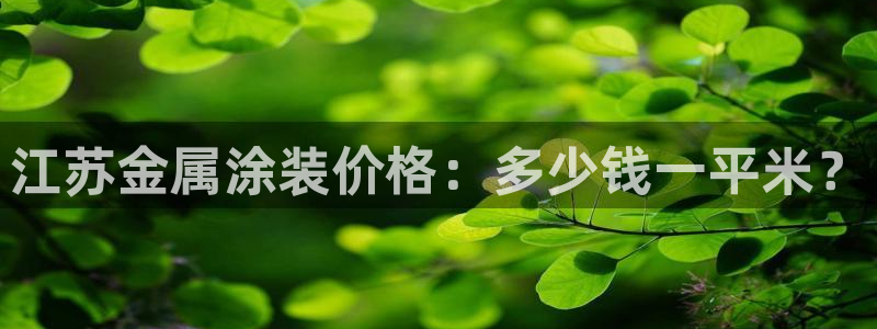 美狮美高梅酒店雍华府