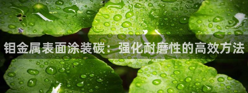 美高梅酒店吉祥物