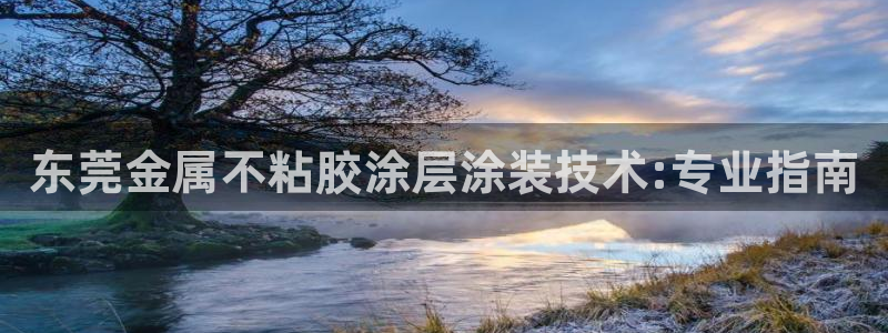 美高梅会员卡等级图片