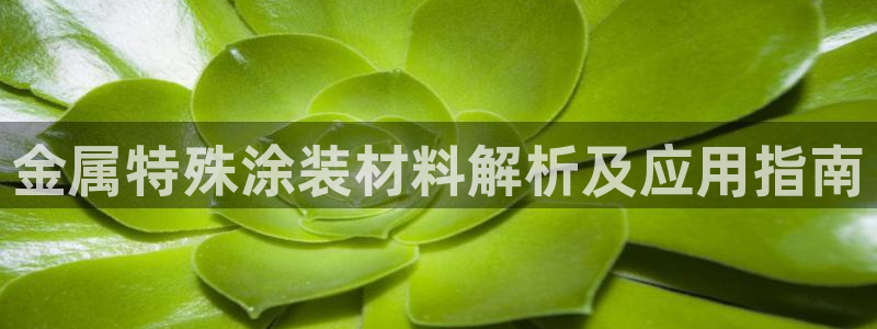 美高梅游戏苹果手机版