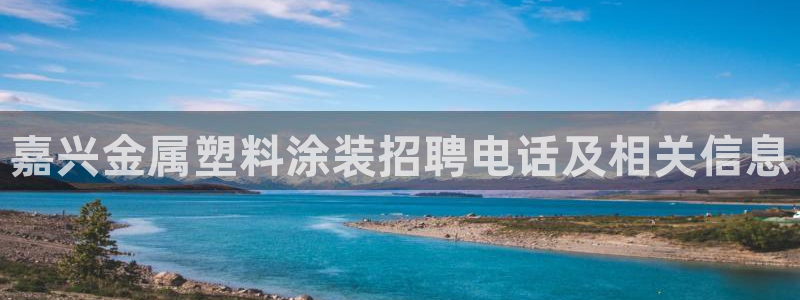 美高梅在澳门有几家