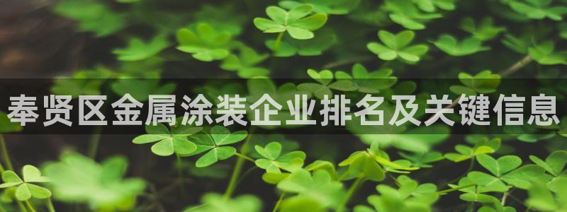 美高梅酒店投资多少钱