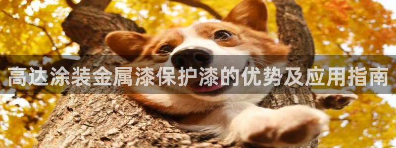 美高梅儿童托管怎么样可靠吗