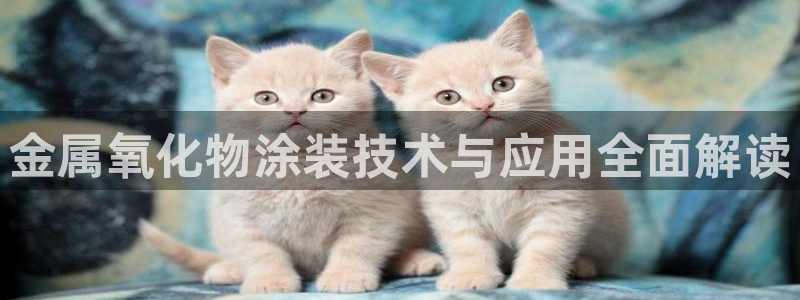 美高梅酒店中国店位置