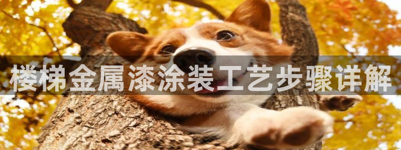 美高梅属于什么档次