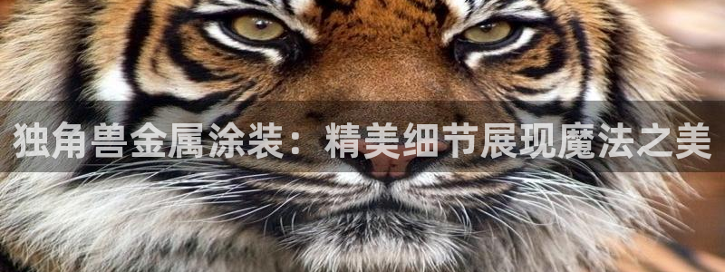 美狮美高梅酒店离哪个口岸近
