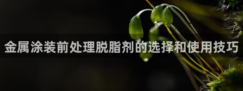 美高梅酒店免费的什么茶