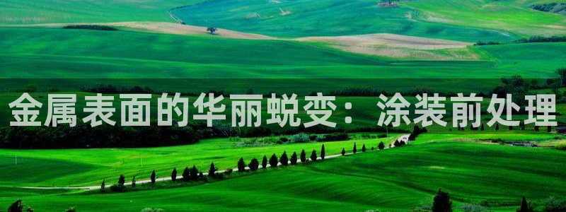 美高梅会员卡要输多少