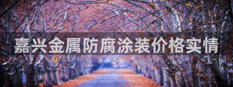 美高梅空气炸锅怎么样