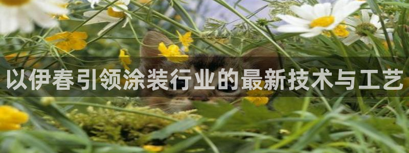 美高梅集团公司