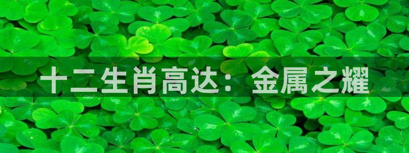 美高梅物业怎么样