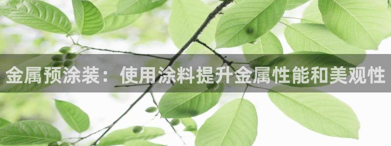 美高梅国际酒店集团股东