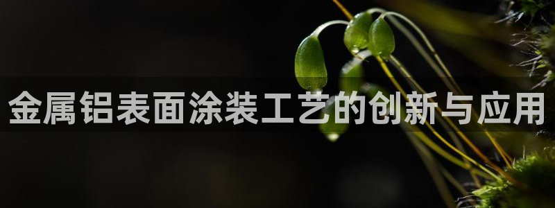 美高梅在澳门有几家门店