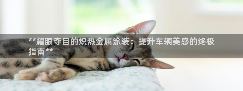 美高梅酒店入住率