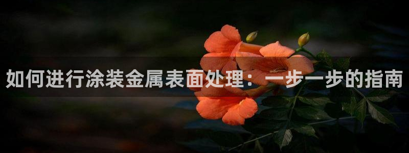 美高梅国际酒店集团位于美国哪个城市