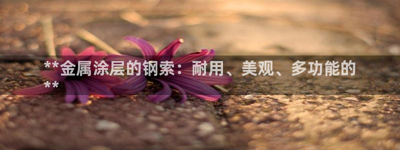 美高梅品牌介绍