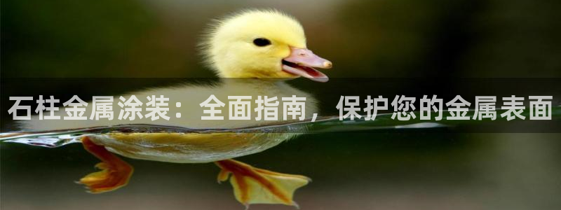 美高梅何超琼年薪