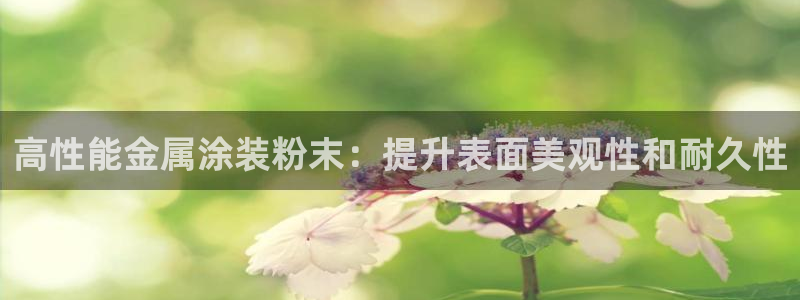 美狮美高梅酒店开业