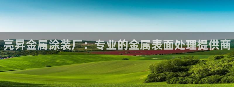 美狮美高梅酒店是几星级