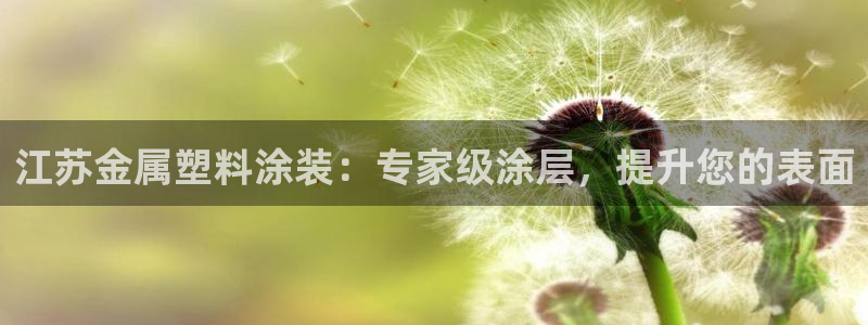美高梅国际酒店集团和何超琼