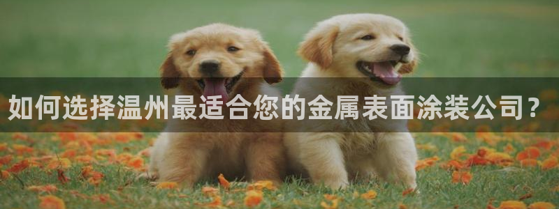 美狮美高梅酒店会员怎么办理