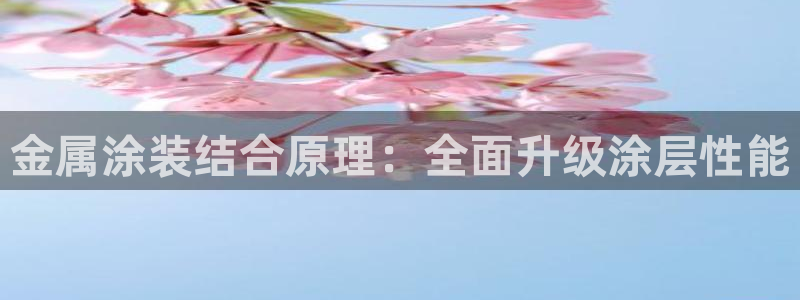 美高梅酒店赔偿价目表