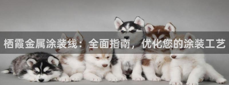 美狮美高梅酒店黑卡