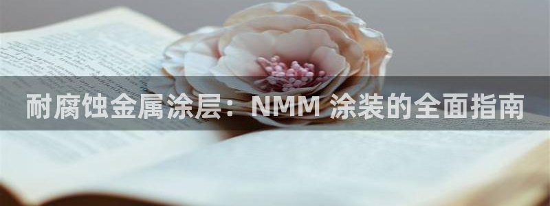 美狮美高梅酒店会员