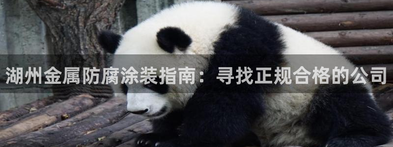 美高梅儿童托管怎么样可靠吗