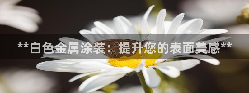 美高梅招聘官网