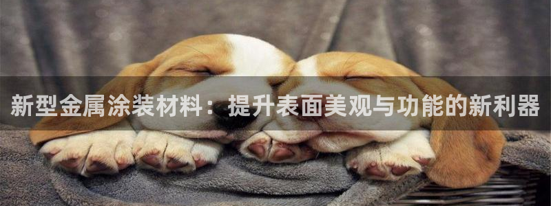 美高梅会员等级怎么分